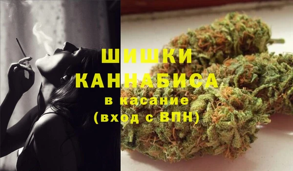 ГАЛЛЮЦИНОГЕННЫЕ ГРИБЫ Алексин