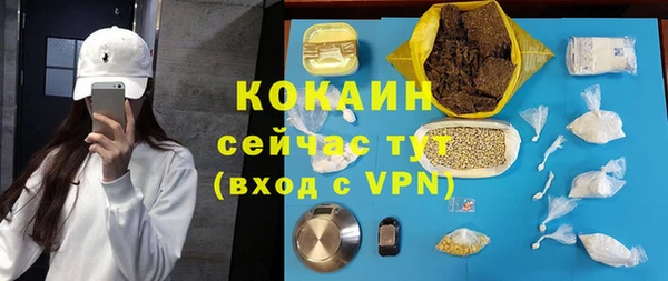 МДПВ Алзамай