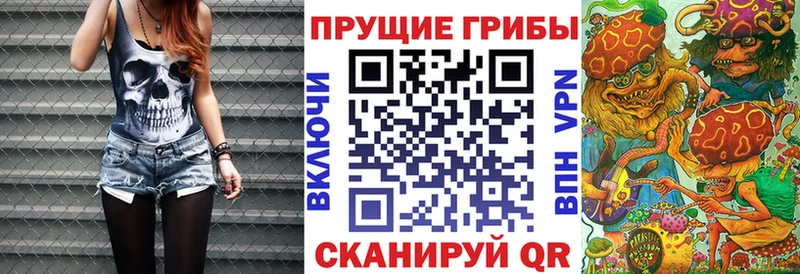 Псилоцибиновые грибы мухоморы OMG ССЫЛКА Злынка